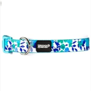(L) Friends Forever Dog Collar for Dogs